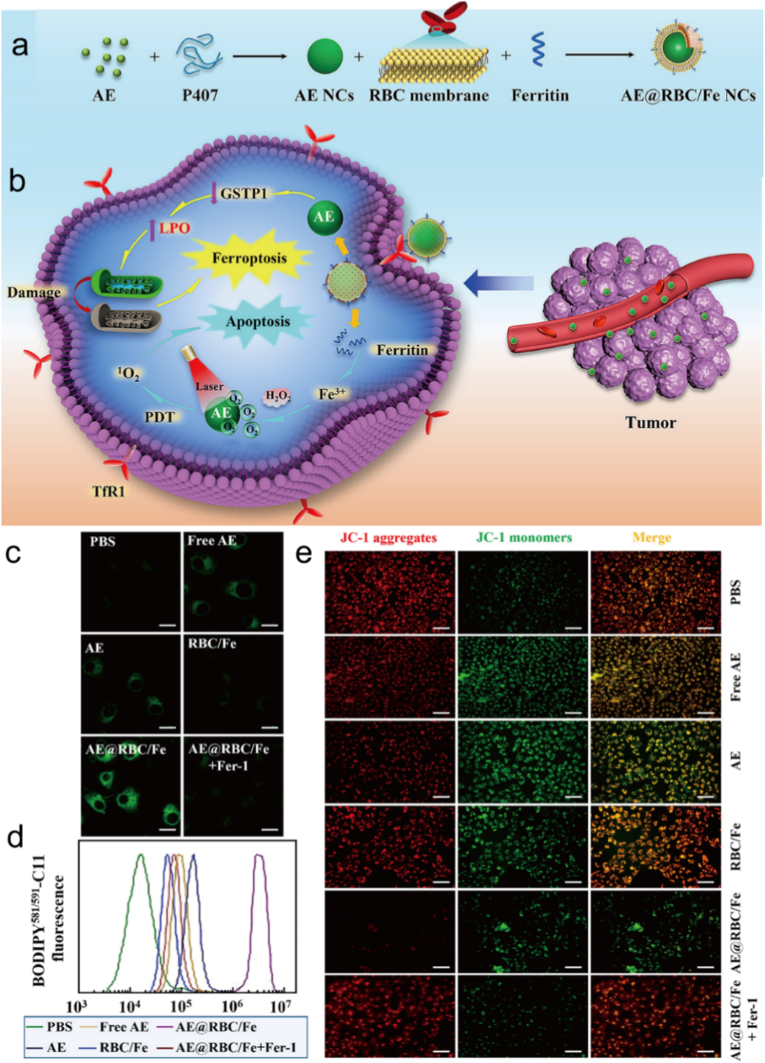 Figure 16