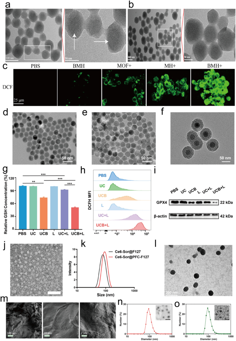 Figure 19