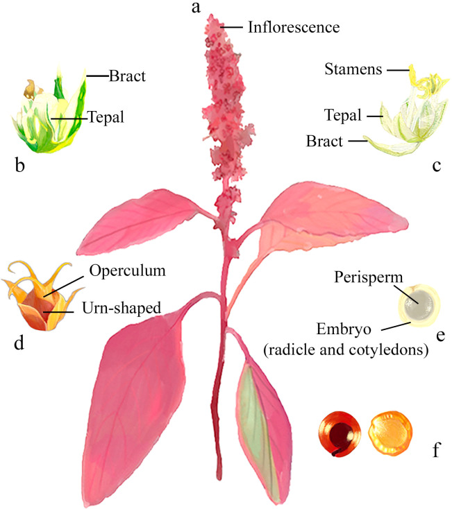 Figure 2