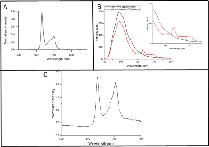 FIGURE 2