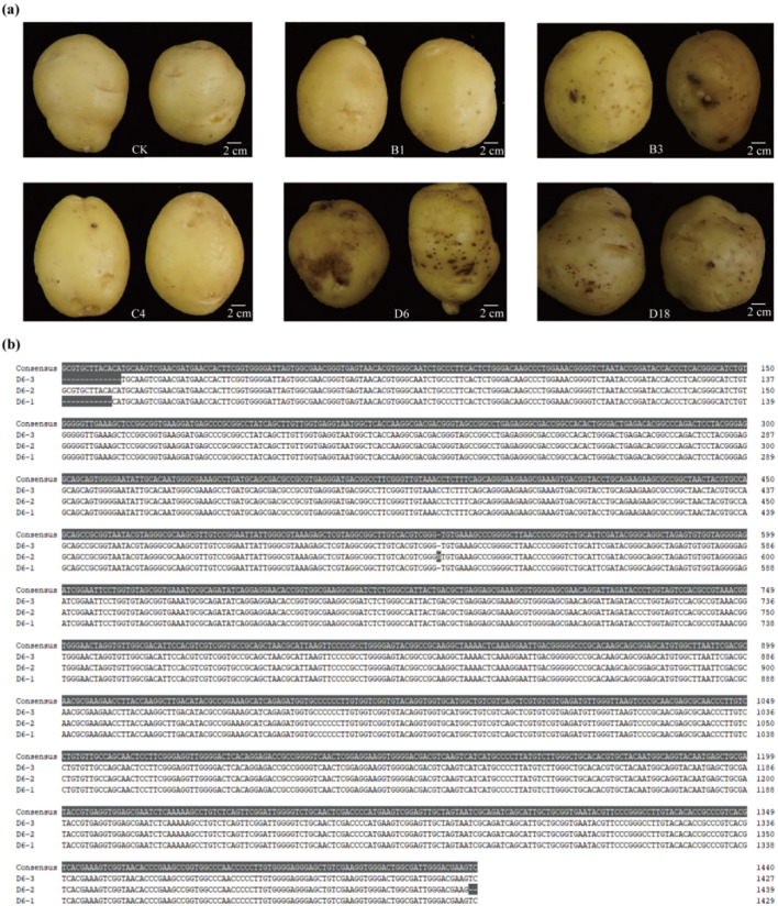 Figure 3