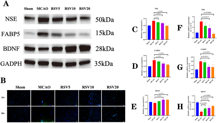 Figure 4