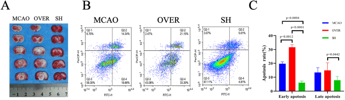 Figure 6