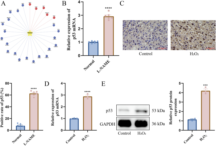 Figure 4