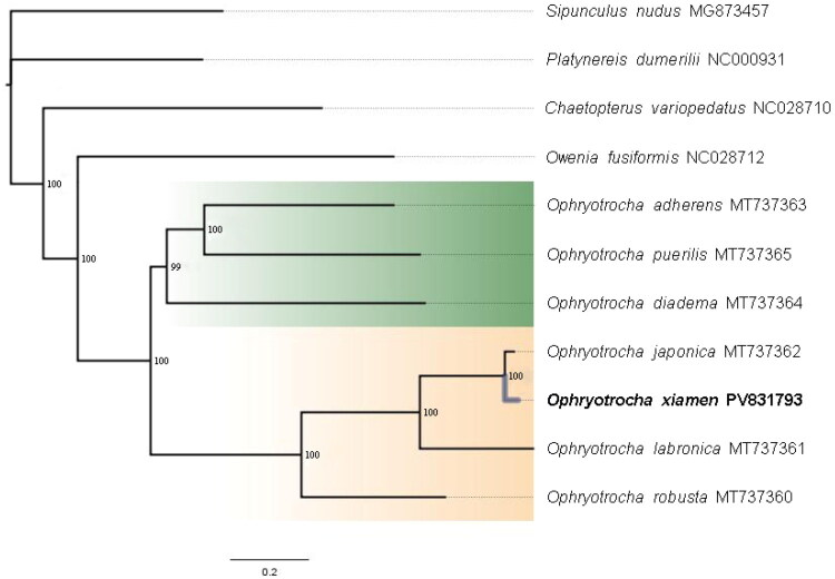 Figure 3
