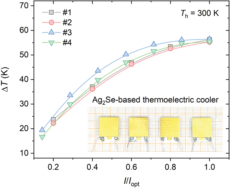 Figure 13