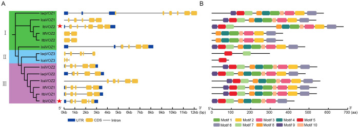 Figure 3