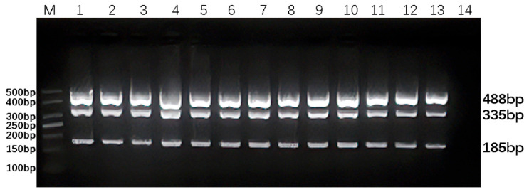 Figure 2