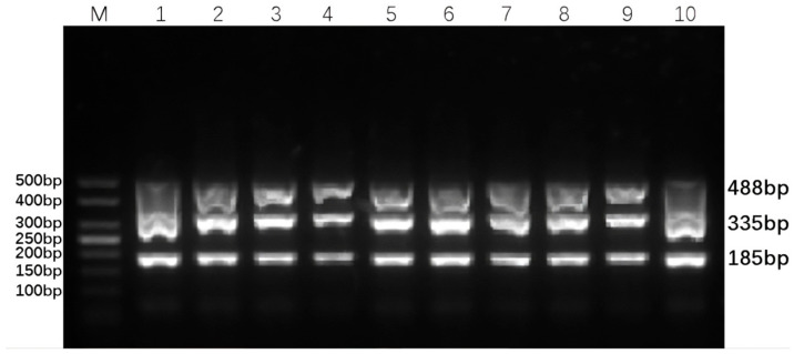 Figure 4