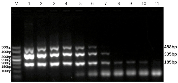 Figure 6