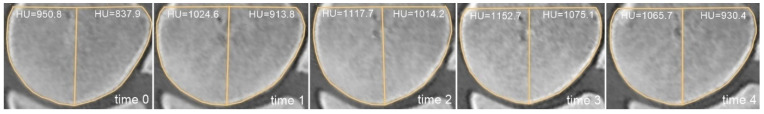 Figure 8