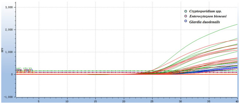 Figure 10