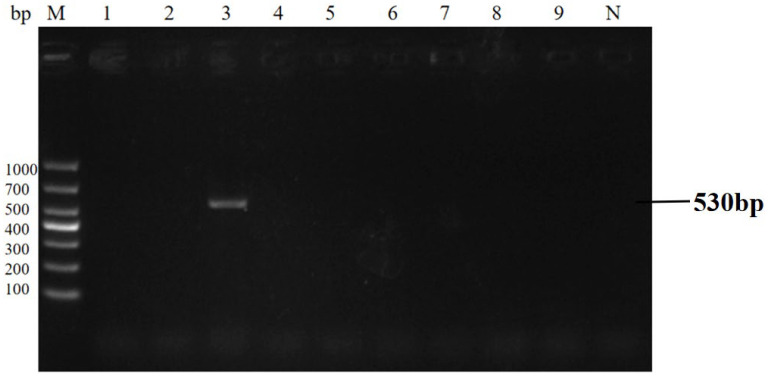 Figure 12