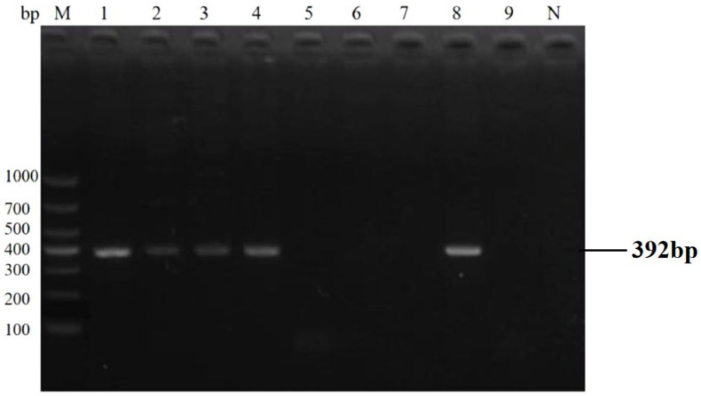 Figure 13