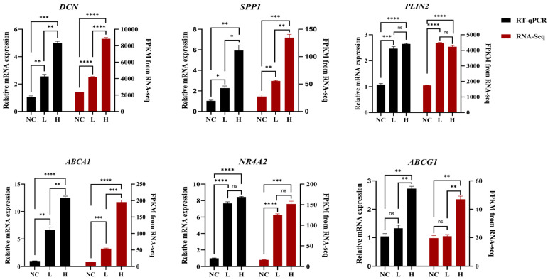 Figure 5