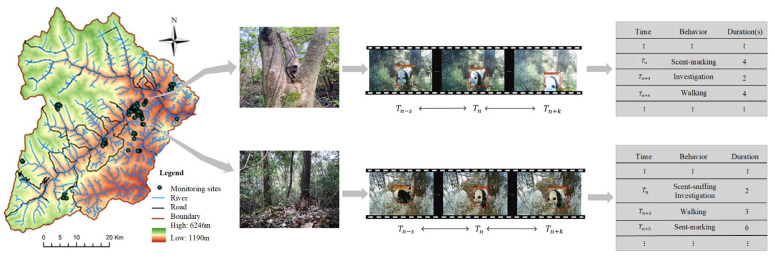 Figure 12