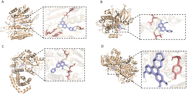 Figure 6