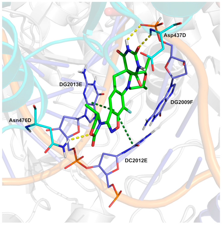 Figure 13