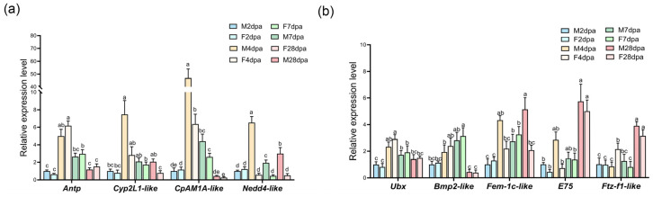 Figure 6