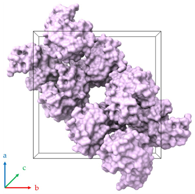 Figure 21