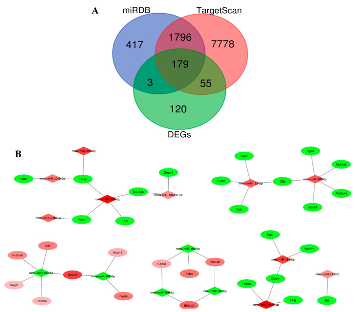 Figure 8