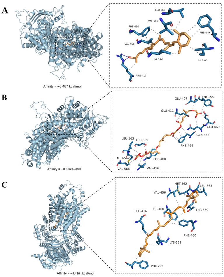 Figure 6