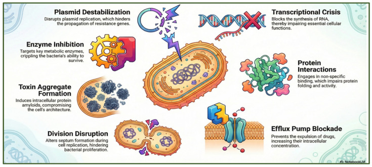 Figure 7