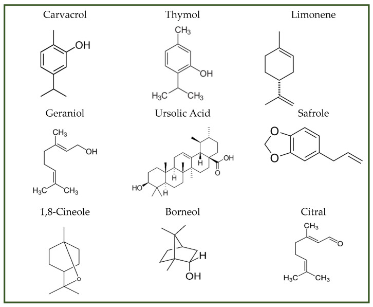 Figure 10