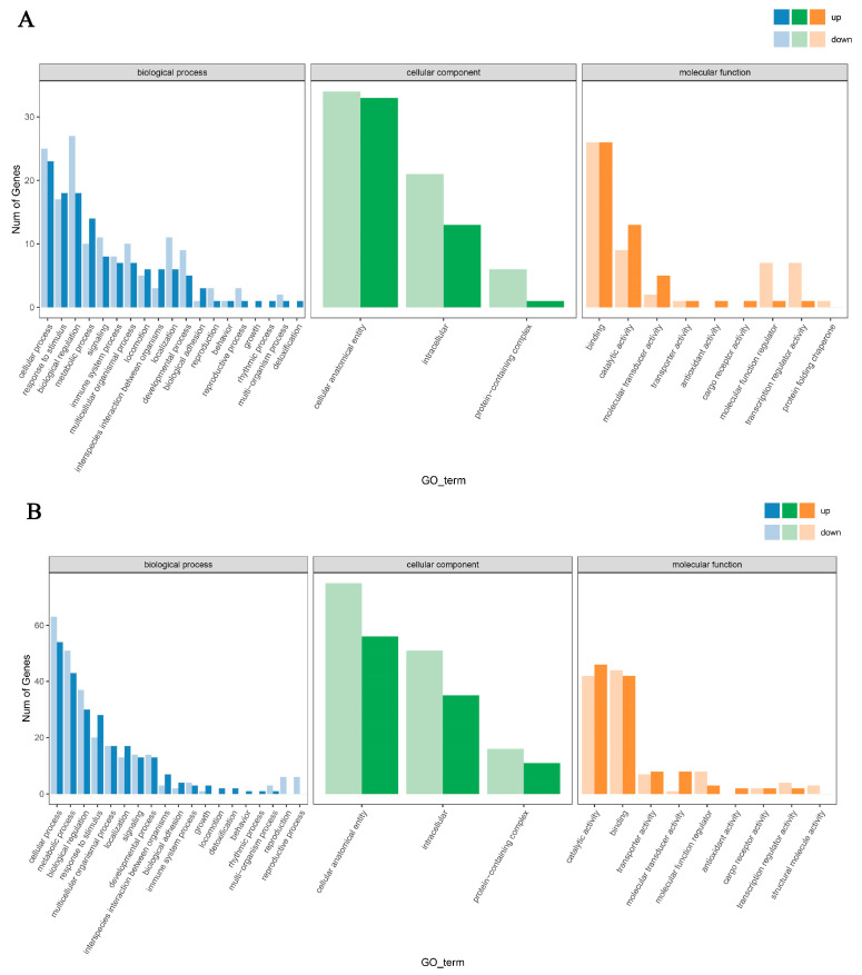 Figure 8