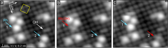 FIGURE 1
