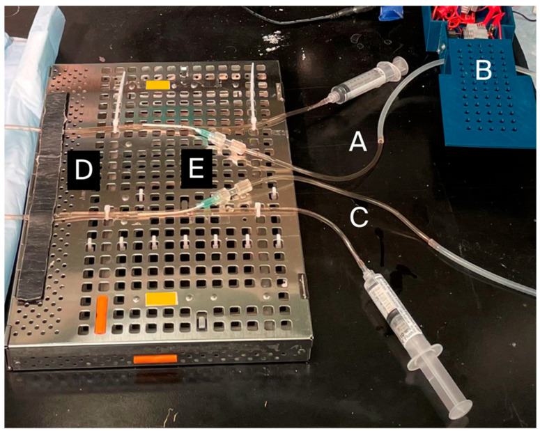 Figure 2