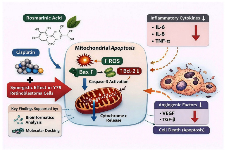 Figure 14