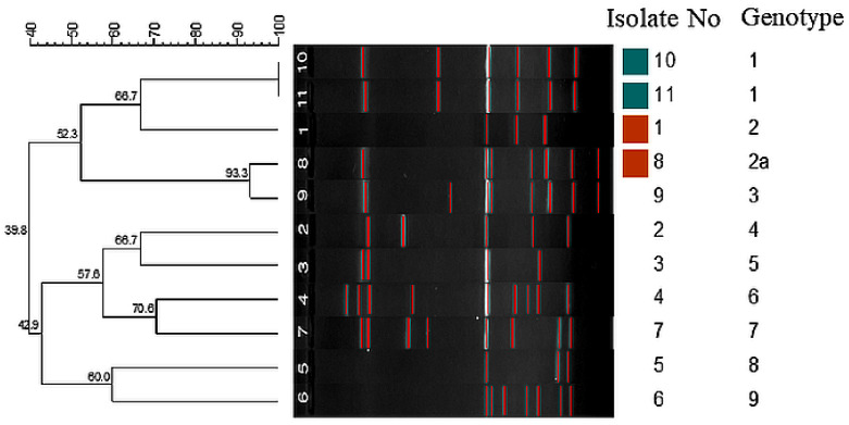 Figure 5