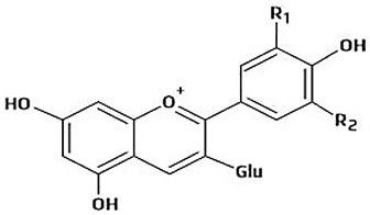 Figure 11