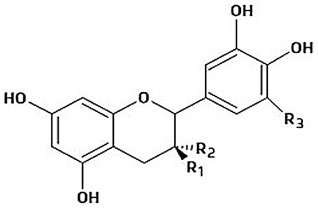 Figure 13