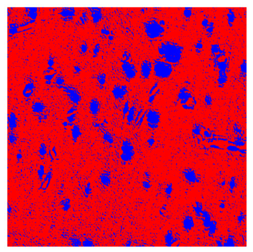 Figure 19