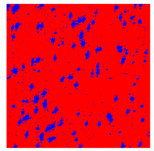 Figure 24