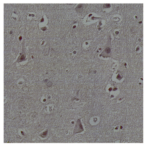 Figure 27