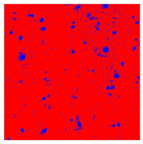 Figure 29