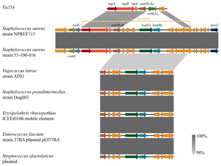 Figure 7