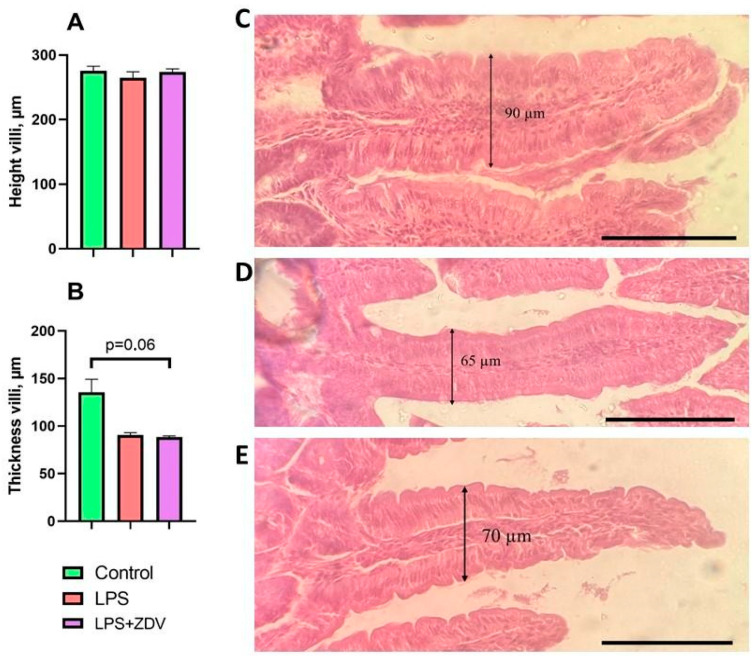 Figure 12
