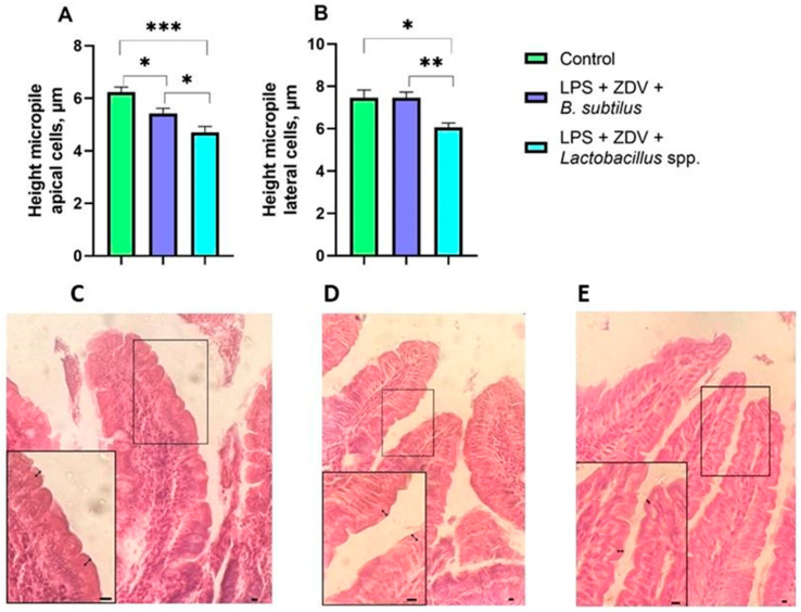 Figure 14