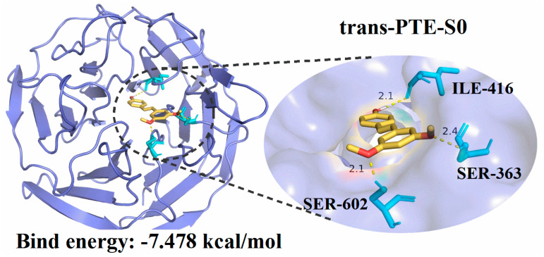 Figure 6