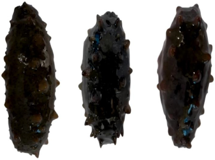 Figure 13