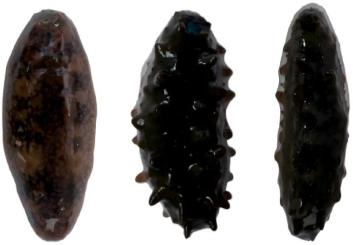 Figure 14