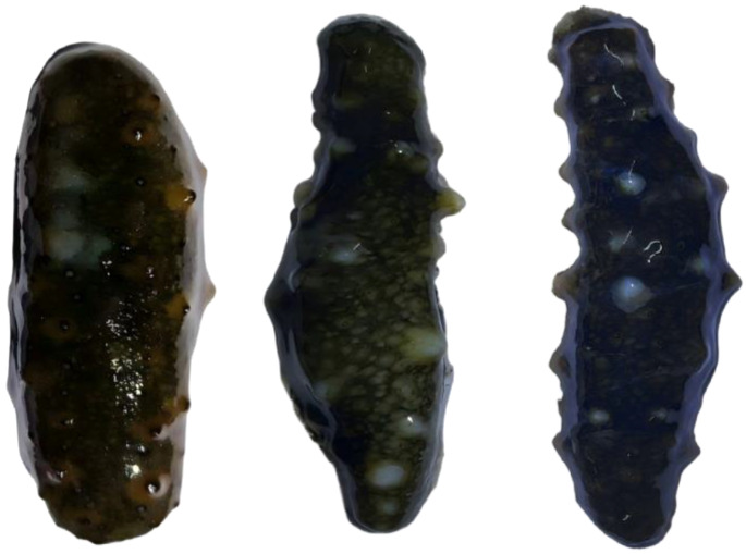 Figure 15