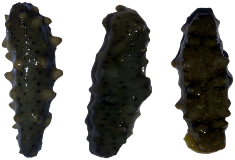 Figure 18