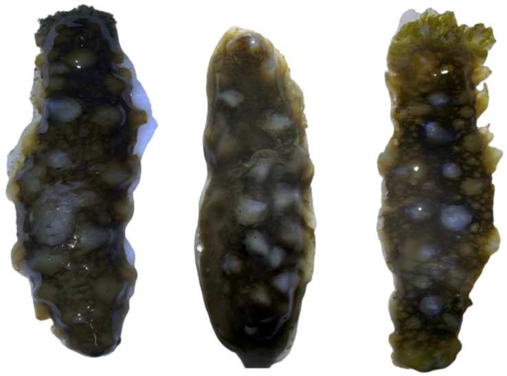 Figure 20