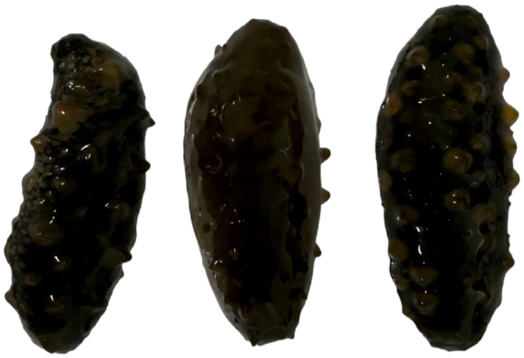 Figure 22