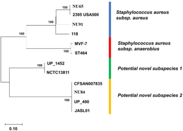 Figure 2